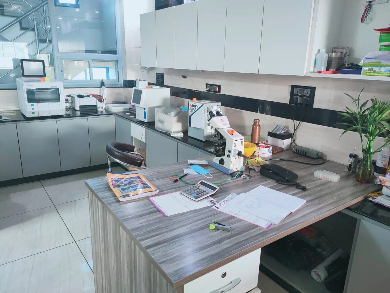 Laboratory professional working with diagnostic equipment